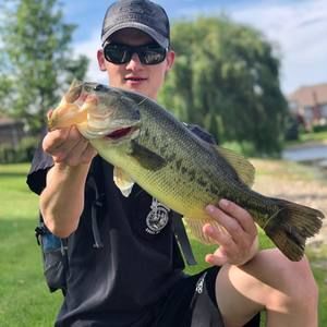 Meet your Posher, Jerry